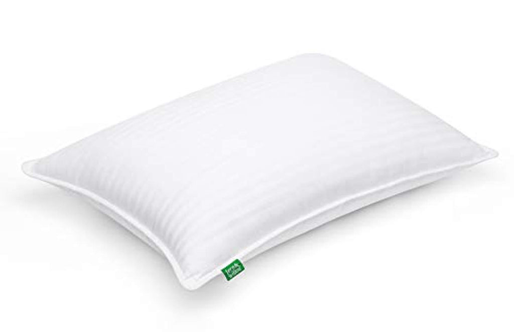 Fern and Willow Premium Loft Down Alternative Pillows for Sleeping (2-Pack) - Luxury Gel Plush Pillow - Hypoallergenic & Dust Mite Resistant (Queen)