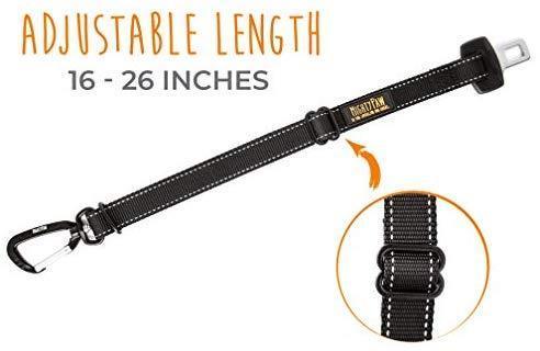 Mighty Paw Dog Seat Belt | Pet Safety Belt, Created with Human Seatbelt Material. All-Metal Hardware with Adjustable Length Strap. Exceeds Dog Safety Standards. Keep Your Dog Secure in The Car