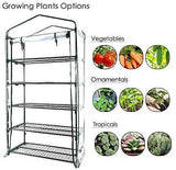 Worth 5 Tier Mini Greenhouse with Clear Polyethylene Cover, 27" Long x 19" Wide x 75" High Garden Green House