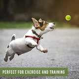 Hyper Pet Tennis Balls for Dogs, Pet Safe Dog Toys for Exercise and Training, Pack of 4, Green