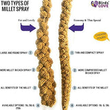 Birds LOVE Spray Millet Non-GMO for Birds Cockatiel Lovebird Parakeet Finch Canary All Parrots Healthy Treat
