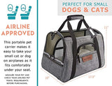 Airline Approved Pet Carrier - Soft Sided Portable Travel Bag with Mesh Windows and Fleece Padding - for Small Dogs and Cats – Fits Under Airplane Seat by FANCYDOG
