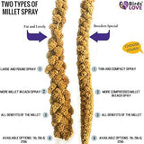 Birds LOVE Spray Millet Non-GMO for Birds Cockatiel Lovebird Parakeet Finch Canary All Parrots Healthy Treat