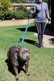 Primal Pet Gear Dog Leash 8ft Long - Traffic Padded Two Handle - Heavy Duty - Double Handles Lead for Control Safety Training - Leashes for Large Dogs or Medium Dogs - Dual Handles Leads