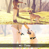 Peteme Dog Training Collar Rechargeable with Beep/Vibra/Electric Shock ,100% Waterproof Training Collar, Up to 1200Ft Remote Shock Electric Collar