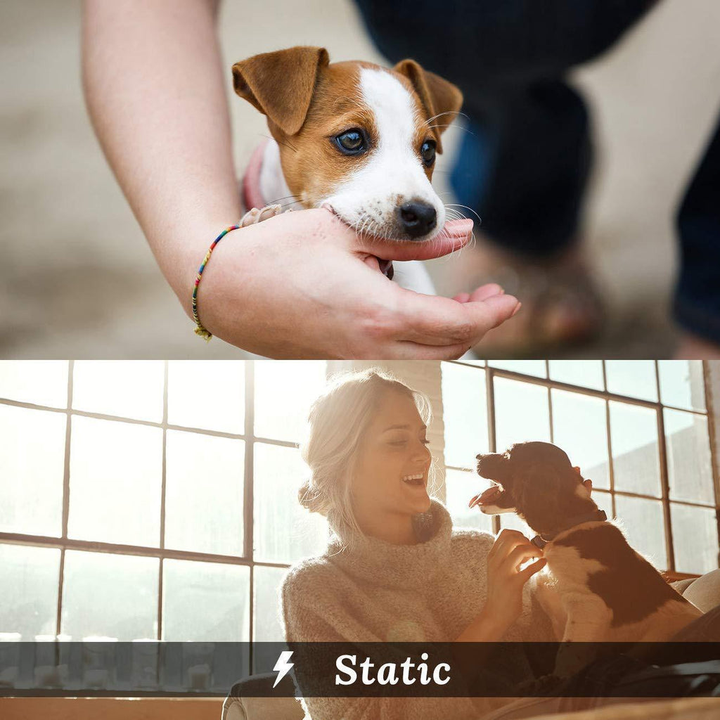 Peteme Dog Training Collar Rechargeable with Beep/Vibra/Electric Shock ,100% Waterproof Training Collar, Up to 1200Ft Remote Shock Electric Collar