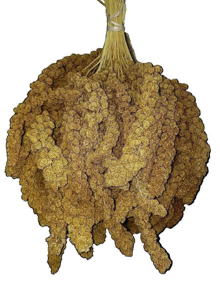 Birds LOVE Spray Millet Non-GMO for Birds Cockatiel Lovebird Parakeet Finch Canary All Parrots Healthy Treat