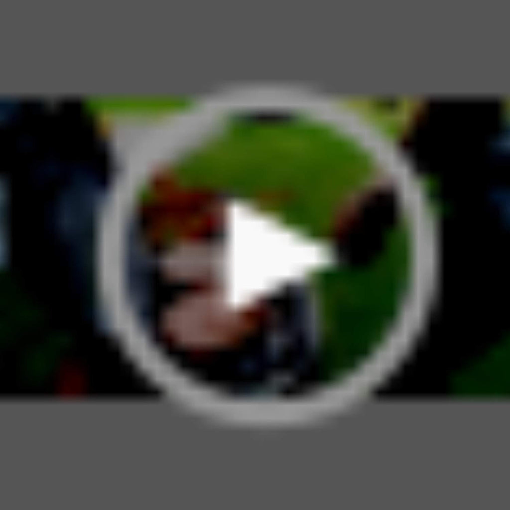 ABCCANOPY Canopy Tent 10 x 10 Pop-Up Commercial Canopy Instant Shelter Tents Popup Outdoor Portable Shade with Wheeled Carry Bag Bonus 4 x Weight Bags, 4 x Ropes& 4 x Stakes, Red