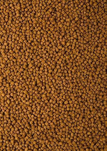 Wardley Fish Food and Accessories