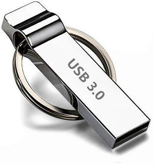 DXBUFU 256GB Silver Metal Compatible 2.0 &3.0 256GB USB Flash Drive, Portable Waterproof Metal Pen Drive Storage Keychain Thumb Drive Memory Stick with Anti-Lost Keychain (256GB)