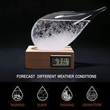 Storm Glass Weather Stations Water Drop Weather Predictor Creative Forecast Nordic Style Decorative Weather Glass