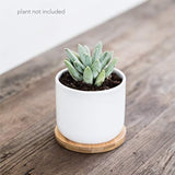 White Ceramic Succulent Pots with Bamboo Tray (Set of 3) | 4 Inch Succulent Planter Fits Larger Variety of Plants, Flowers & Cacti | Cute & Stylish Small Plant Pot with Drainage Hole