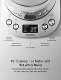 Electric Kettle, Willsence Electric Tea Kettle Stainless Steel Glass Boiler Hot Water Tea Heater with Temperature Control LCD Display, Removable Tea Infuser, 1.7 L, 1200W (Glass)