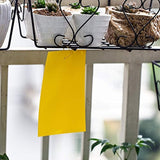 Trapro 20-Pack Dual-Sided Yellow Sticky Traps for Flying Plant Insect Like Fungus Gnats, Aphids, Whiteflies, Leafminers - (6x8 Inches, Twist Ties Included)