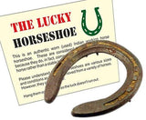 Authentic Used Horseshoe - Good Luck Charm - Rustic - Lucky Gift