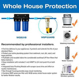 iSpring WGB21B 2-Stage Heavy Duty Whole House Water Filtration System, 10"x4.5" Big Blue Sediment Filter and CTO(Chlorine, Taste, and Odor) Filter, 1" Inlet/Outlet