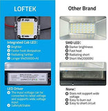 LED Flood LOFTEK Light, 30W 4000lm 5000K Daylight White COB Plug in Outdoor Light, IP 66 Waterproof Super Bright Floodlight(Black)