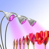 [New] Plant Grow Light with Premium Triple LED Heads, Detachable 360 Degrees Adjustable Gooseneck, Perfect for in-Door Plants' Growth/Health