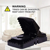 Iprotek Rat Trap - Powerful Mini Mouse Trap Kit Mole Vole Killer That Work for Mice Control Indoor Outdoor Safe to Set Bait More Effective Than Humane Wooden Rodent Catcher - 4 Pcak Snap Traps