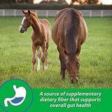 Farnam Sand Clear Digestive Aid for Horse
