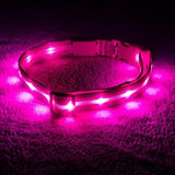 Blazin' Safety LED Dog Collar – USB Rechargeable with Water Resistant Flashing Light