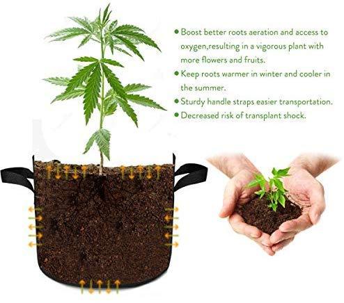10-Pack 5 Gallon Grow Bags for Potato/Plant Container/Aeration Fabric Pots with Handles (Black)