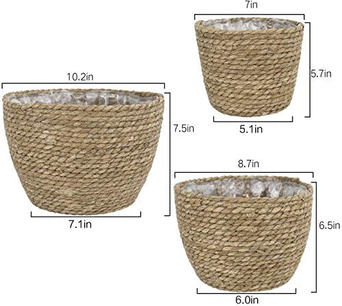 La Jolíe Muse Natural Seagrass Planter Basket (3-Pack), Plant Pot Cover, Indoor Plant Pots (10 Inch)
