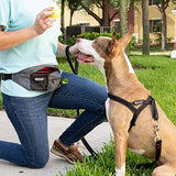 Paw Lifestyles PackUp Pouch Dog Treat Training Waist Belt, Storage Fanny Pack, and Poop Bag Dispenser