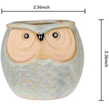 6 Pcs Mini Small Ceramic Owl Succulent Plant Pot Flower Planter Holder Cactus Planter Pot Flower Pot Container Planter