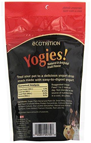 eCOTRITION Yogies for Hamsters/Gerbils/Rats, 3.5-Ounce