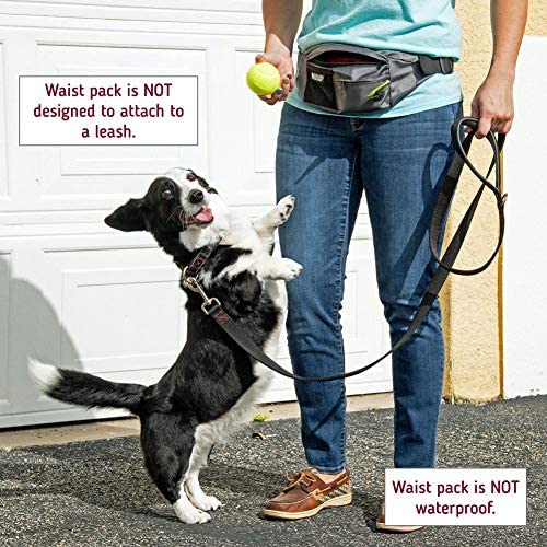 Paw Lifestyles PackUp Pouch Dog Treat Training Waist Belt, Storage Fanny Pack, and Poop Bag Dispenser
