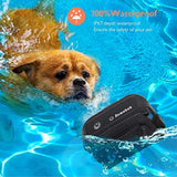 Nemobub Dog Shock Collar 1000ft Remote Training and 100% Waterproof Rechargeable Shock Collar with Beep Vibration and Electric Dog Collar Dogs