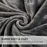 EMONIA Luxury Fleece Blanket - Queen Size Blankets Super Soft Warm Fuzzy Lightweight Bed & Couch Blanket (Grey, 90 x 90 inch)