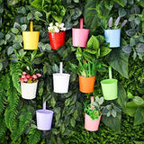 Akarden 10 Piece Metal Iron Hanging Flower Pots, Garden Pots Balcony Planters Metal Bucket Flower Holders, Detachable Hook(Multicolor (3.9‘’)