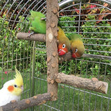 KinTor Bird Perch Nature Wood Stand for Small Medium Parrots