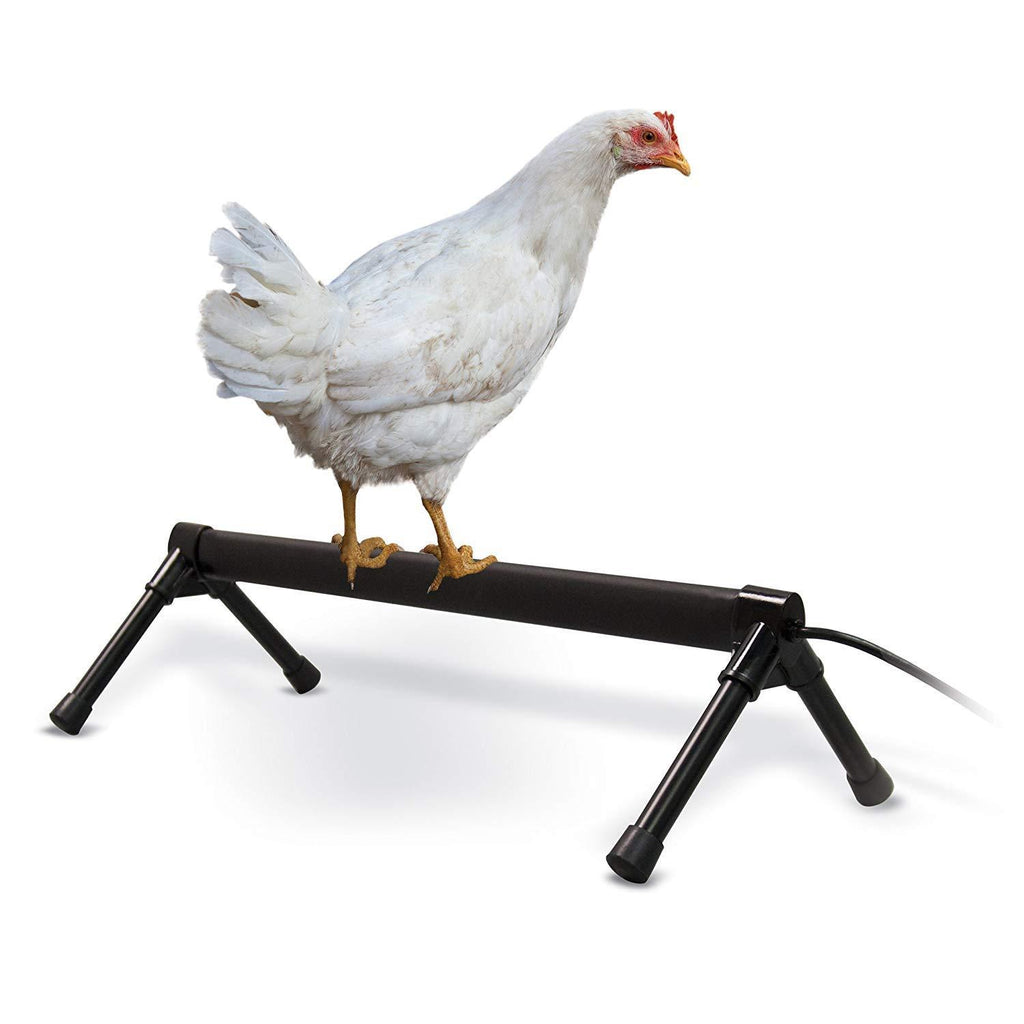 K&H Pet Products Thermo-Chicken Perch - Thermostatically Controlled Heated Chicken Perch