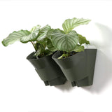 Worth Watering Indoor Outdoor Vertical Wall Hangers with Pots Included Wall Plant Hangers Each Wall Mounted Hanging Pot has 3 Pockets 36 Total Pockets