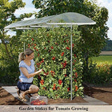 Growsun Strawberry Supports Keeping Fruit Elevated to Avoid Ground Rot,10 Pack