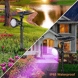 Outdoor Solar Spot Lights, DS Lighting Super Bright 18 LED Security Lamps Waterproof Spotlight for Garden Landscape Path Walkway Deck Garage (7 Colors, 2 Pack)