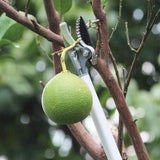 Worth Garden Long Reach Tree Pruner, 4ft Lightweight Cut and Hold Pruning Trimmer