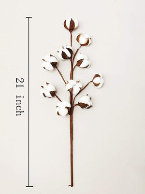 VGIA 3 Pack 21 inch Cotton Stems Farmhouse Decoration Floral Picks - Rustic Style Vase Filler Decoration Flower