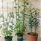 Sunnyglade Plant Support Cages 18 Inches Plant Cages with 3 Adjustable Rings, Pack of 3 (18")