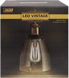 FEIT PN6AG/BZ/ST19LED LED Vintage ST19 Bulb and Pendant