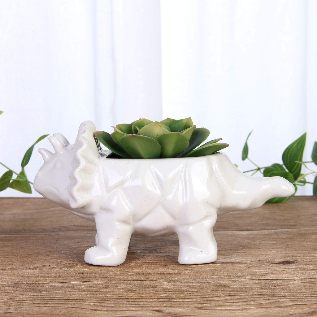 VanEnjoy 6 Inch Cute Cartoon Dinosaur Shape Ceramic Succulent Planter, Water Culture Hydroponics Bonsai Cactus Flower Pot,Air Plant Vase Holder Desktop Decorative Organizer (Triceratops, White)