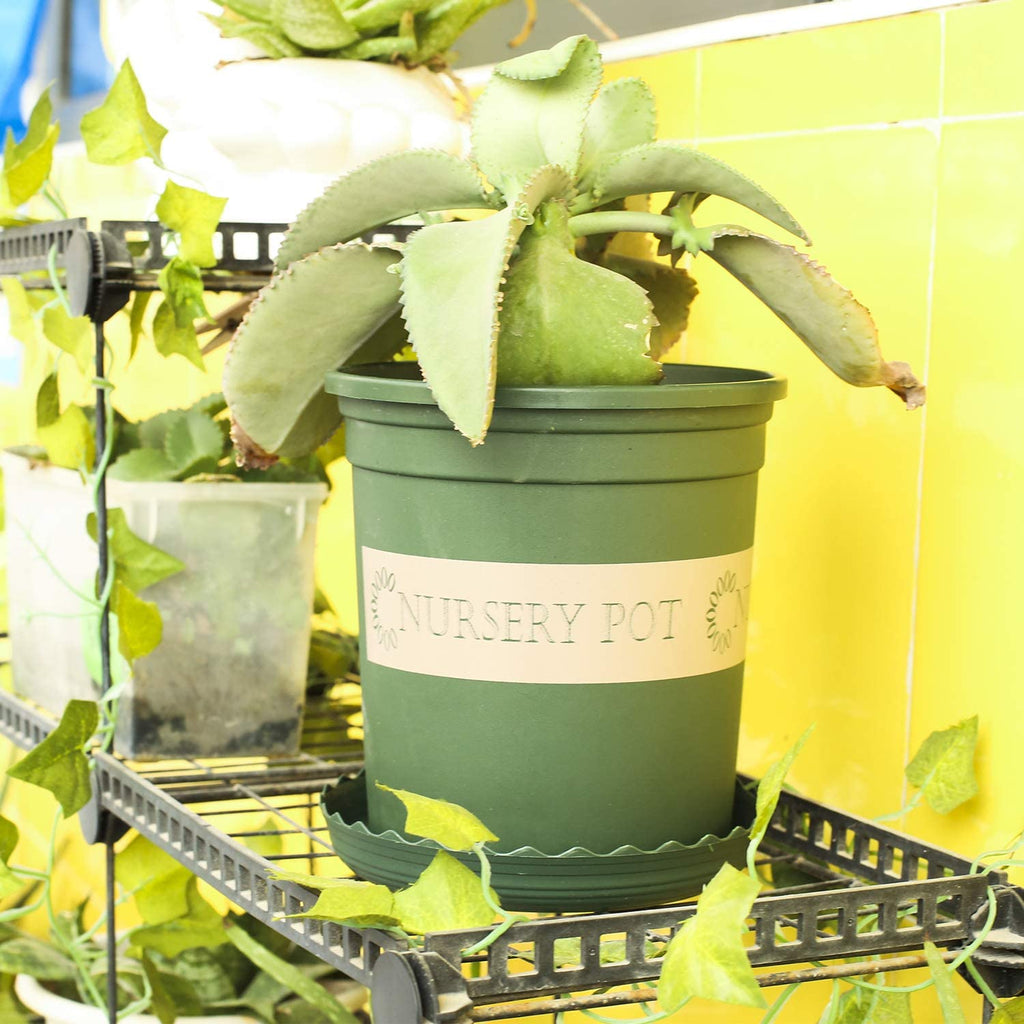 Akarden 5PCS 1 Gallon Nursery Pot Garden Planter Pots Nursery Plant Container with 5PCS Pallet (ArmyGreen)