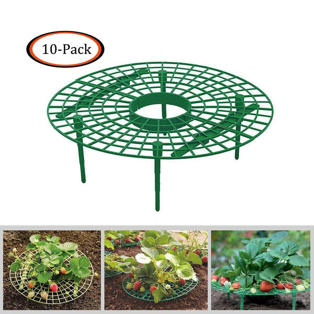 Growsun Strawberry Supports Keeping Fruit Elevated to Avoid Ground Rot,10 Pack