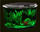 Koller Products 6.5-Gallon Aquarium Kit with Power Filter and LED Lighting, (AP650)