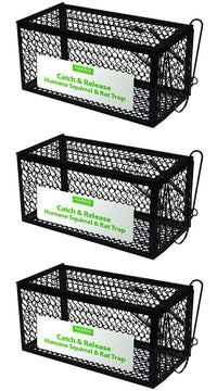 Harris Catch & Release Humane Cage Trap for Rats, Chipmunks, and Small Squirrels (2-Pack)