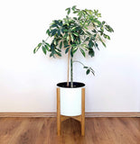 Bamboo House Mid-Century Style Adjustable Width Plant Stand Between 9-13" Made from Bamboo - Modern Home Decor, Elegant Flower Pot Holder, Fits Medium to Large Pots - EXCLUDING Plant Pot