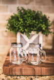 Clear glass Salt and Pepper shaker set | Glass Jar styled salt and pepper shakers with handle